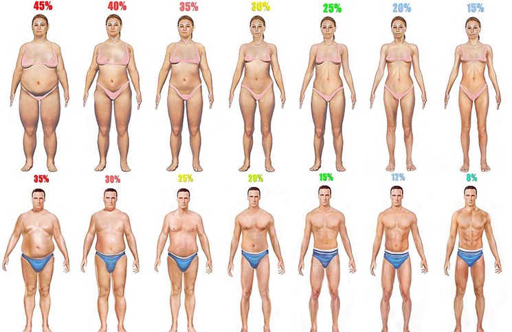 15 Negative Effects of Having a Low Body Fat Percentage