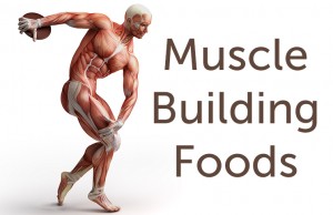 muscle-building-foods-cover-photo