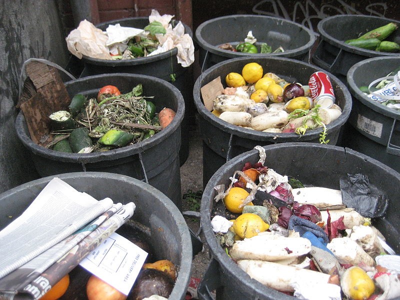 food waste in trash