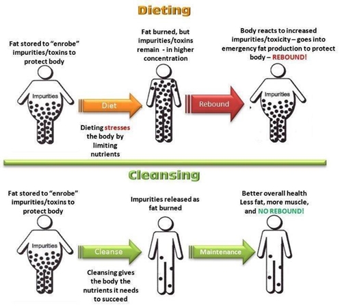 dieting vs cleansing