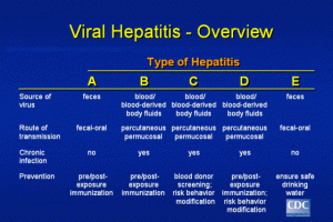 hepatitis_overview in World Hepatitis Day